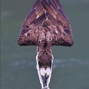 Meet your Posher, Danny